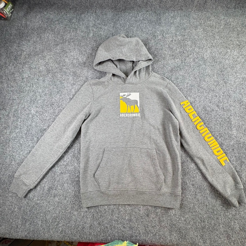 Abercrombie Kids Hoodie Youth 13/14 Gray School Moose Logo Sleeve Spellout Teen
